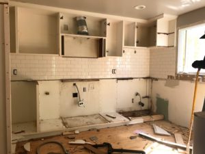 Diary of a Kitchen Renovation, Part 2 – What’s That You Say?